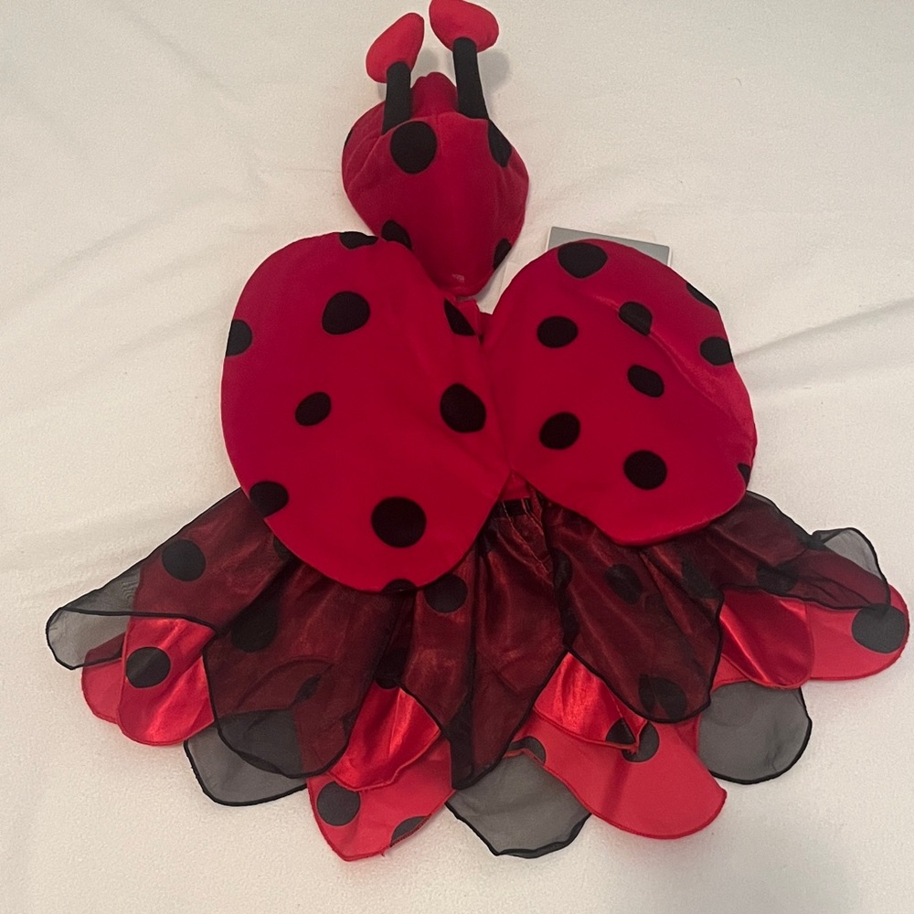 Koala Kids Red and Black Ladybug Costume - Picture 2 of 4